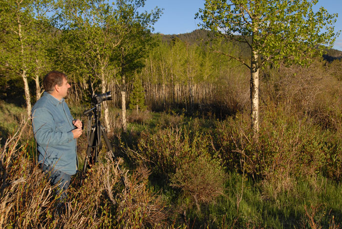 Summer Sunrise Nature/Wildlife Photo Shoot in Westcliffe, Colorado