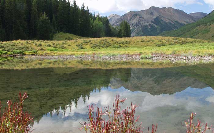 Sunrise Nature/Wildlife Photo Shoot in Aspen, Colorado