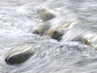 Sunrise Nature/Wildlife Photo Shoot in Aspen, Colorado