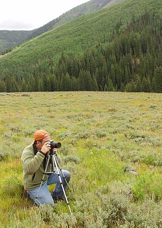 Sunrise Nature/Wildlife Photo Shoot in Aspen, Colorado