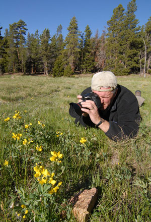 A photographer Shoots Aspens