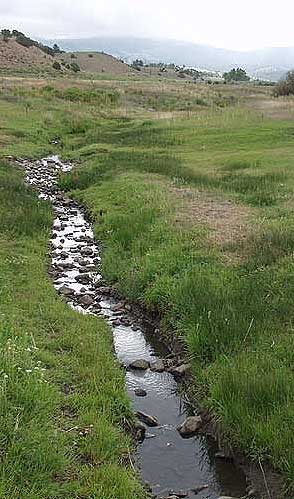 Mountain Creeks