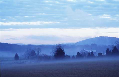 Misty Morning Farm