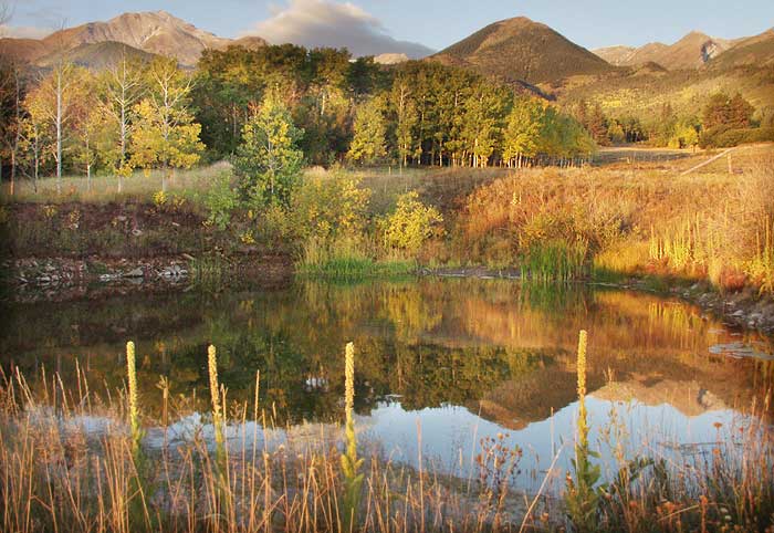 Autumn Sunrise Nature/Wildlife Photo Shoot in Westcliffe, Colorado