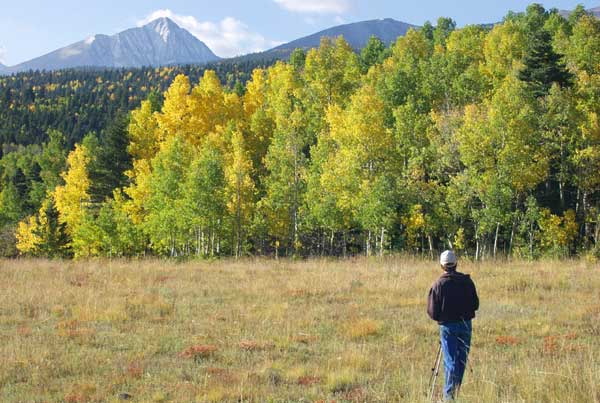 Autumn Sunrise Nature/Wildlife Photo Shoot in Westcliffe, Colorado