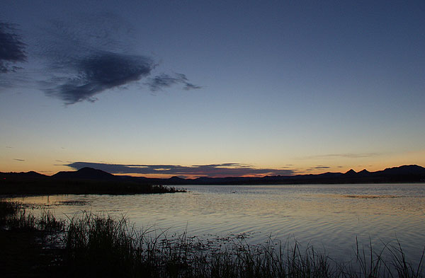 Summer Sunrise Nature/Wildlife Photo Shoot in Westcliffe, Colorado