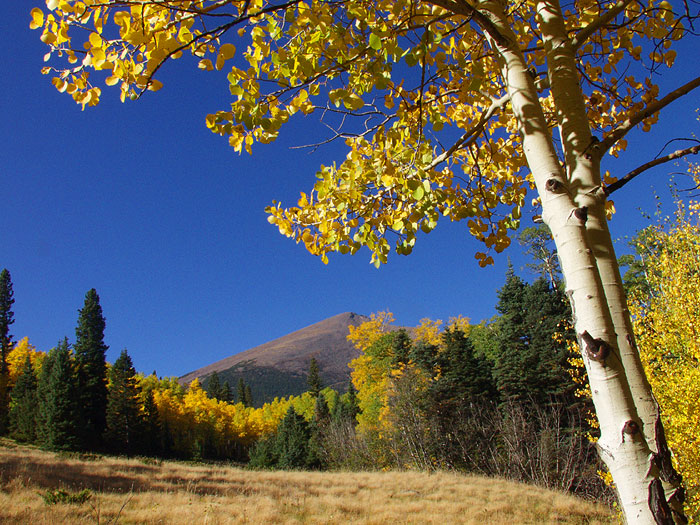Autumn Sunrise Nature/Wildlife Photo Shoot in Westcliffe, Colorado