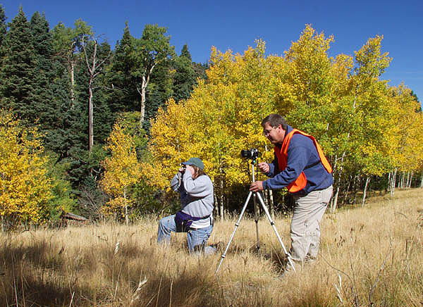 Autumn Sunrise Nature/Wildlife Photo Shoot in Westcliffe, Colorado