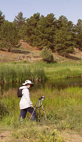 Photo Shoot in Westcliffe, Colorado