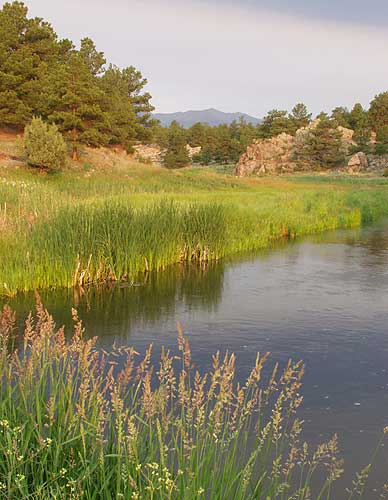 Photo Shoot in Westcliffe, Colorado