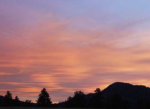 Sunrise Nature/Wildlife Photo Shoot in Westcliffe, Colorado