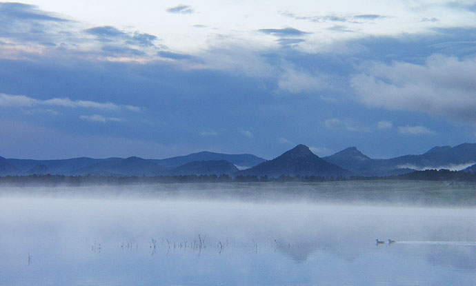 Summer Sunrise Nature/Wildlife Photo Shoot in Westcliffe, Colorado