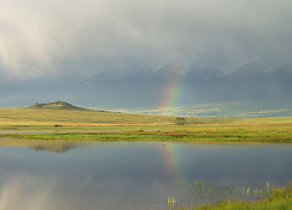 Summer Sunrise Nature/Wildlife Photo Shoot in Westcliffe, Colorado