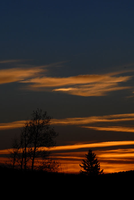 Summer Sunrise Nature/Wildlife Photo Shoot in Westcliffe, Colorado