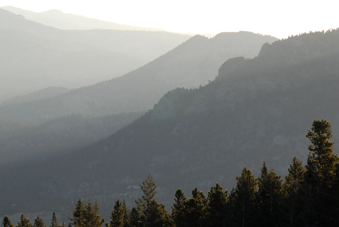 Summer Sunrise Nature/Wildlife Photo Shoot in Westcliffe, Colorado